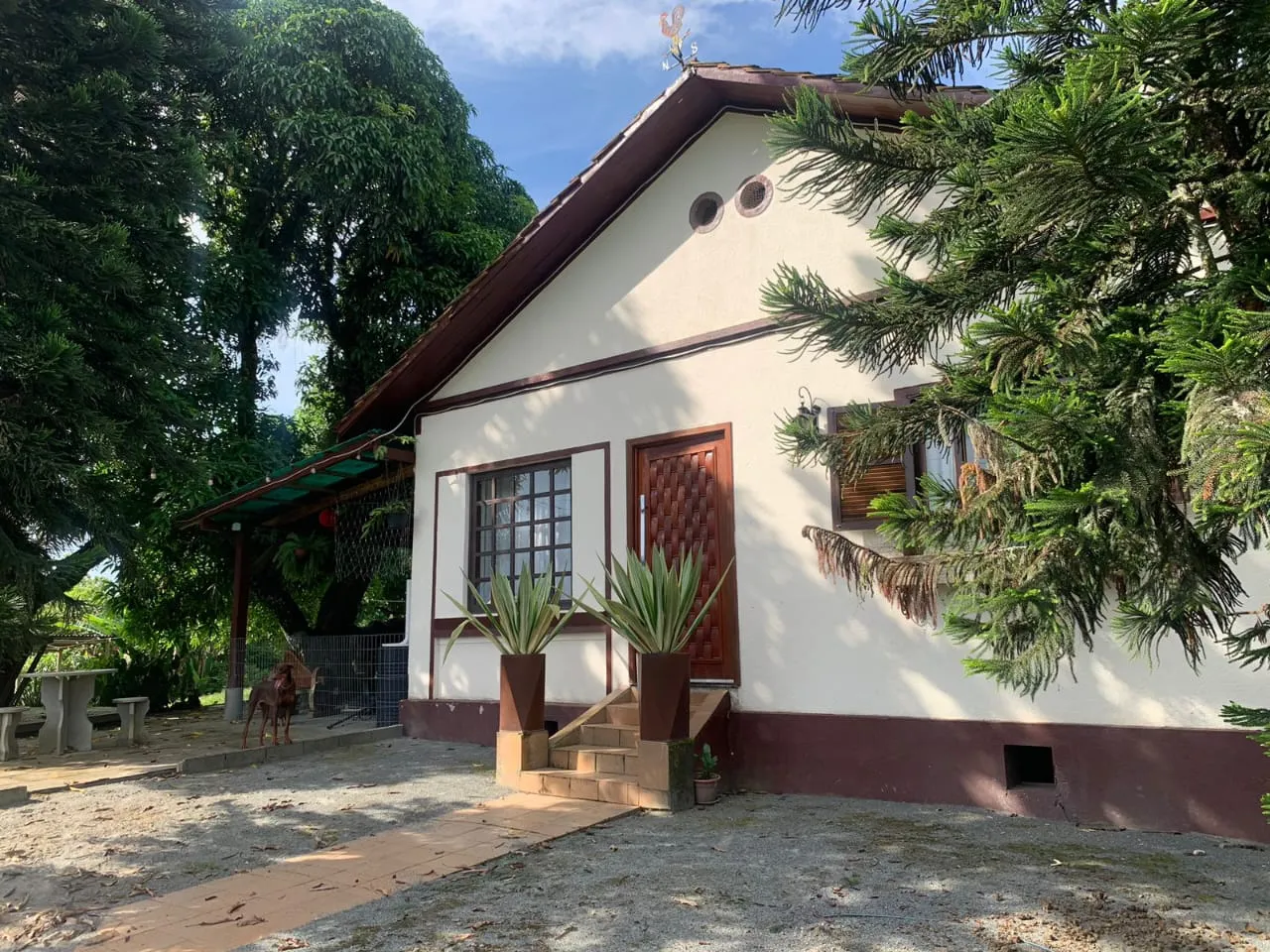 VENDO LINDO SÍTIO EM TIMBÓ — foto 5