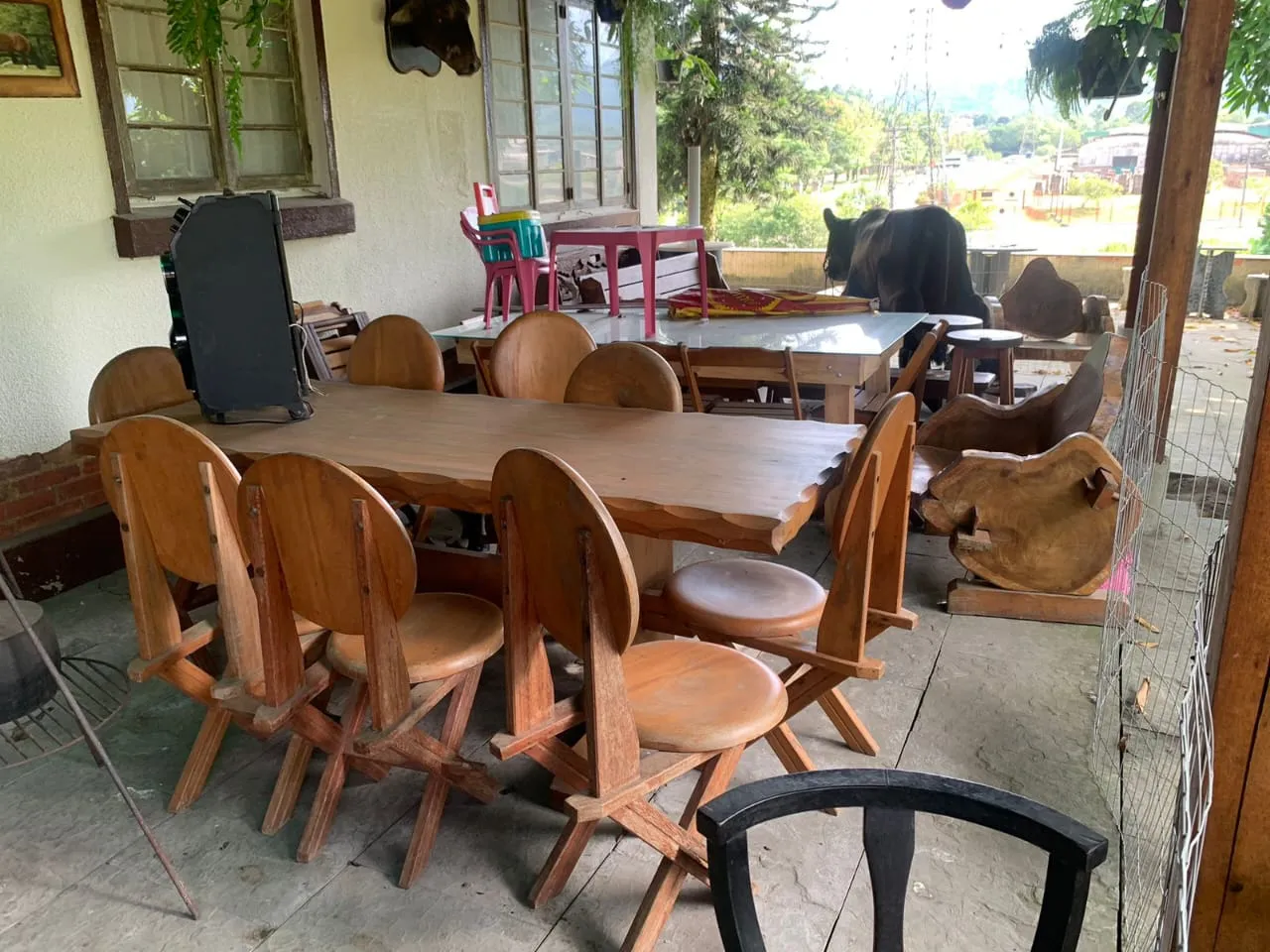 VENDO LINDO SÍTIO EM TIMBÓ — foto 7