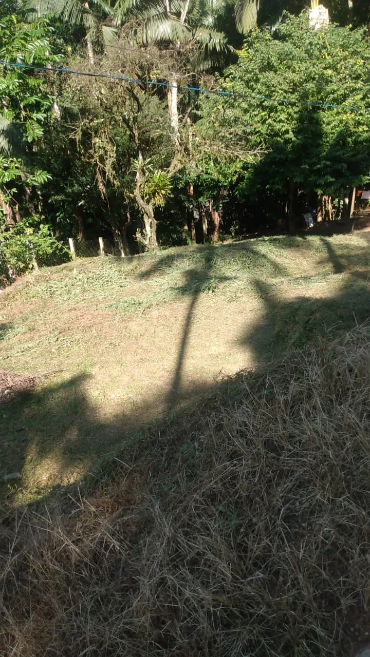 VENDO TERRENO — foto 3