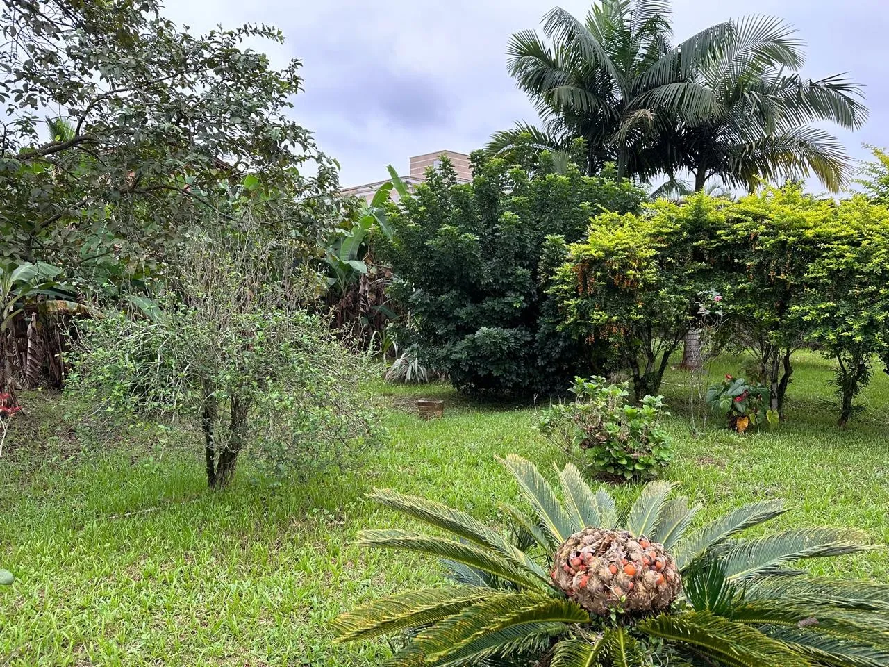 Terreno - 700m — foto 3