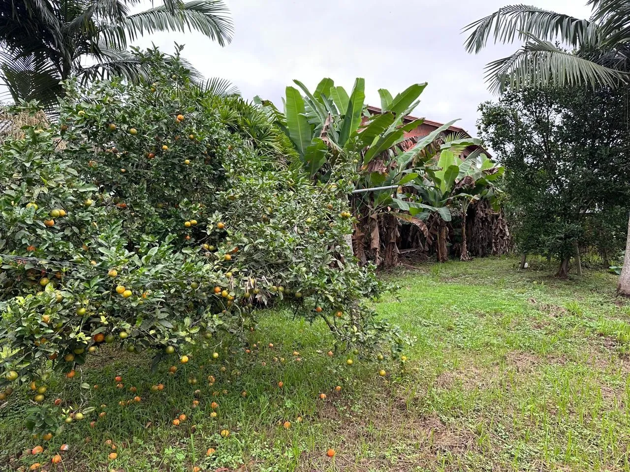 Terreno - 700m — foto 4