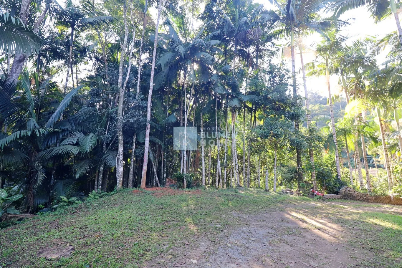 Sítio com amplo espaço de terreno no bairro Belchior Baixo, Gaspar! — foto 2
