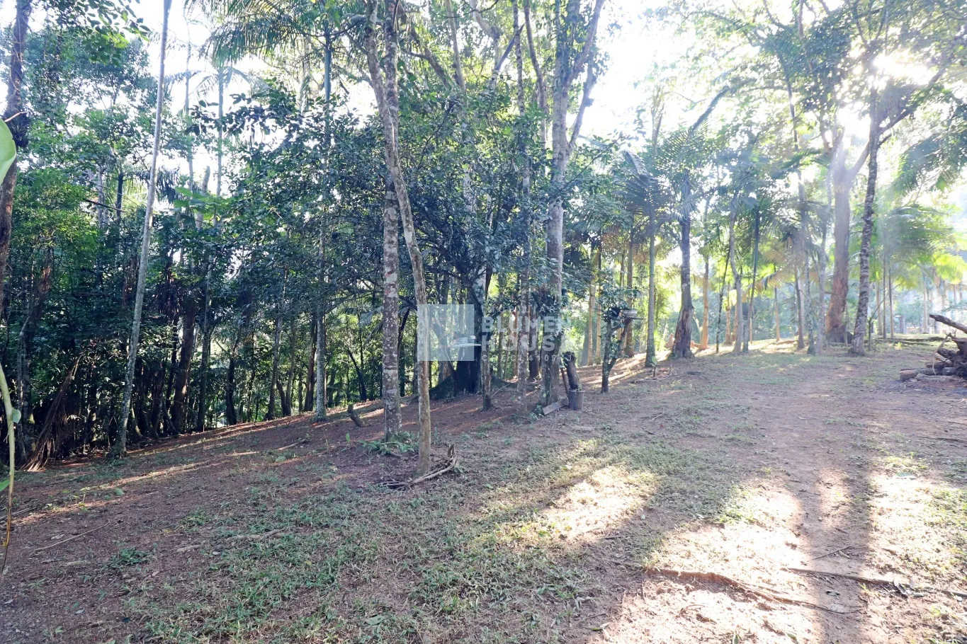 Sítio com amplo espaço de terreno no bairro Belchior Baixo, Gaspar! — foto 3