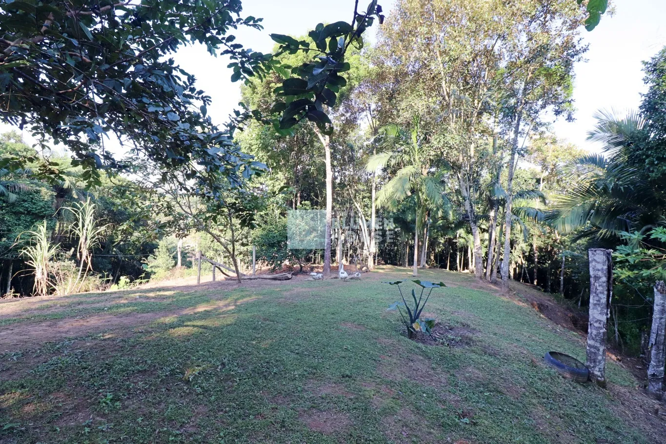 Sítio com amplo espaço de terreno no bairro Belchior Baixo, Gaspar! — foto 4