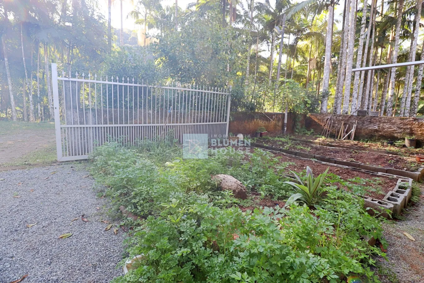 Sítio com amplo espaço de terreno no bairro Belchior Baixo, Gaspar! — foto 5