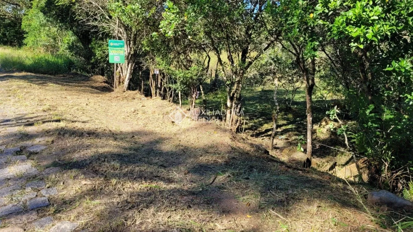 Imóvel - foto 1