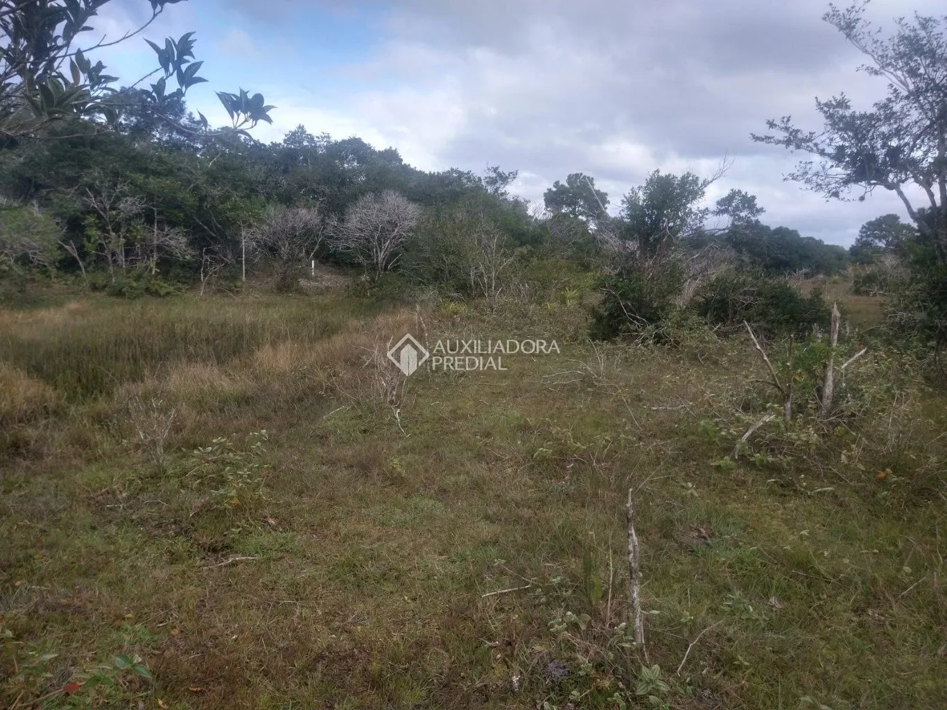 Imóvel — foto 4