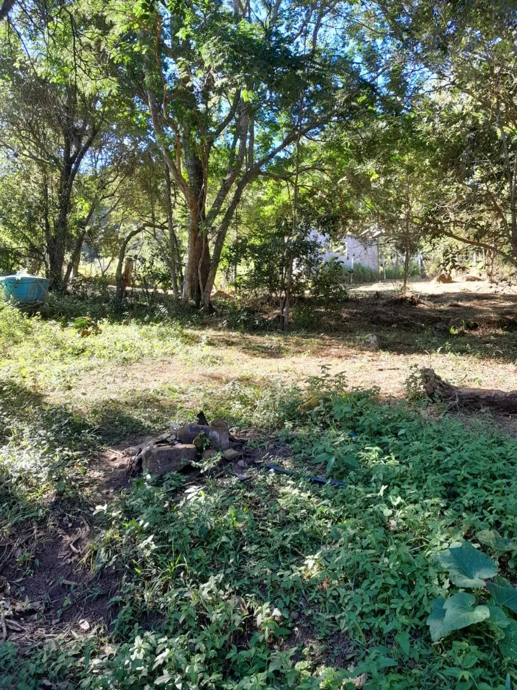 Imóvel — foto 6