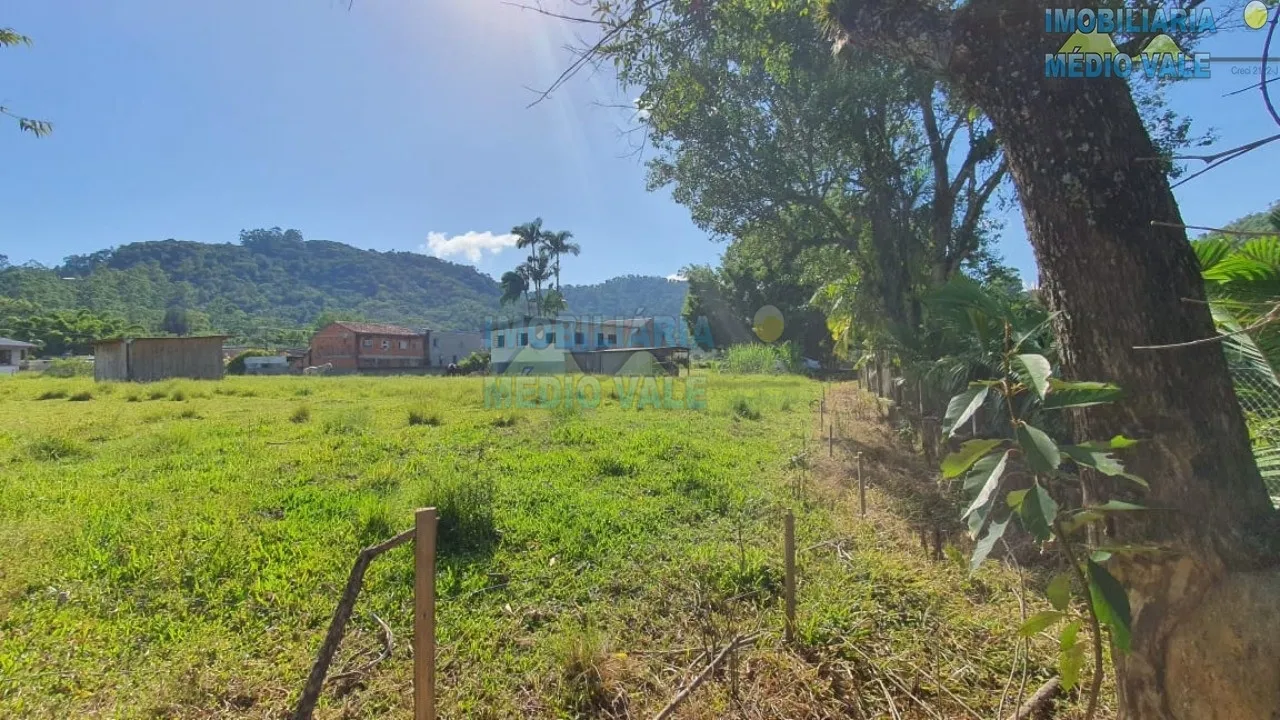 Terreno com 4.100m 100% plano — foto 6