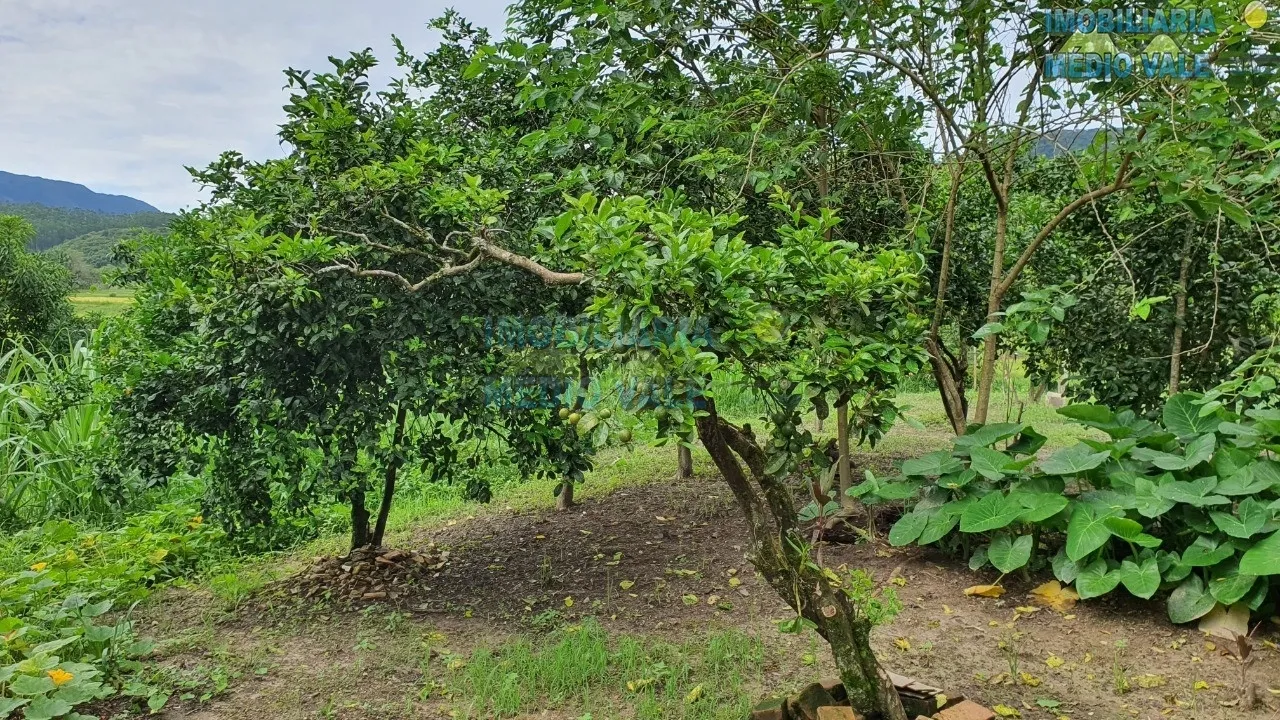 Sítio perfeito para seu projeto — foto 7