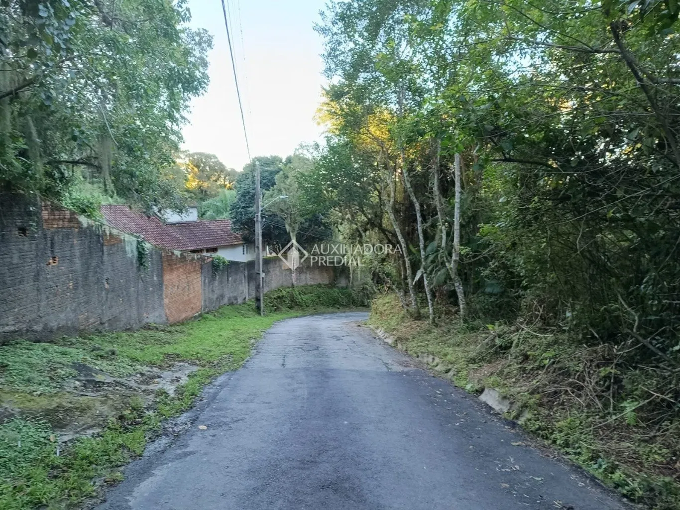 Imóvel — foto 6