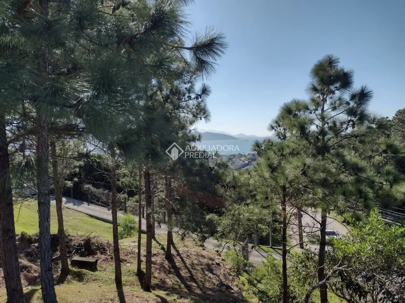 Imóvel — foto 4