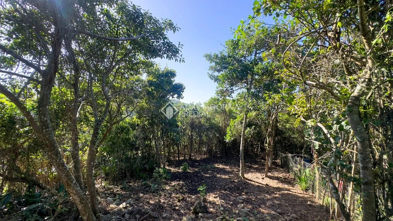 Imóvel — foto 5