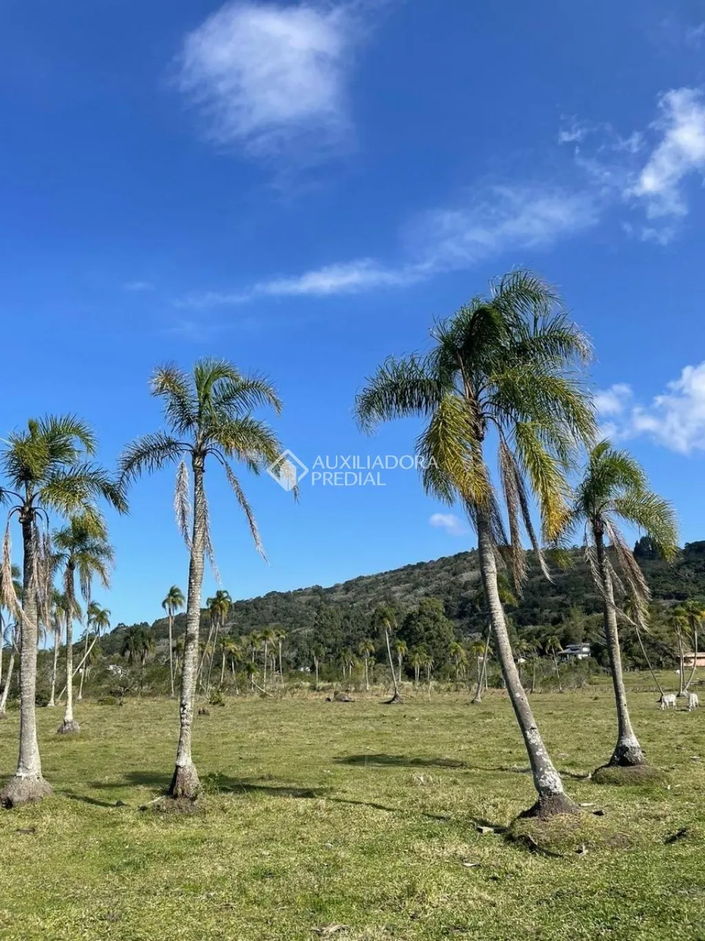 Imóvel - foto 1
