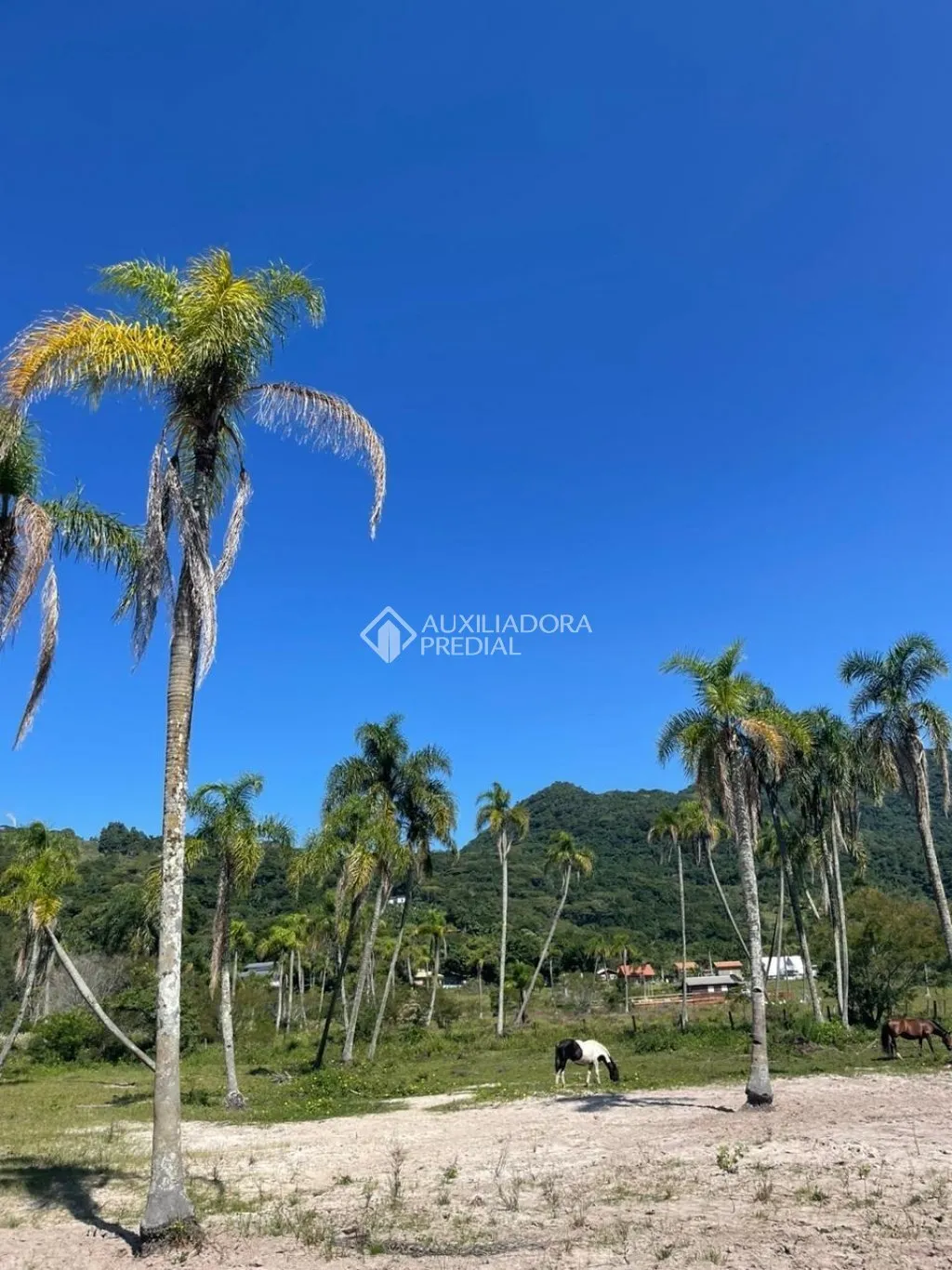 Imóvel — foto 2