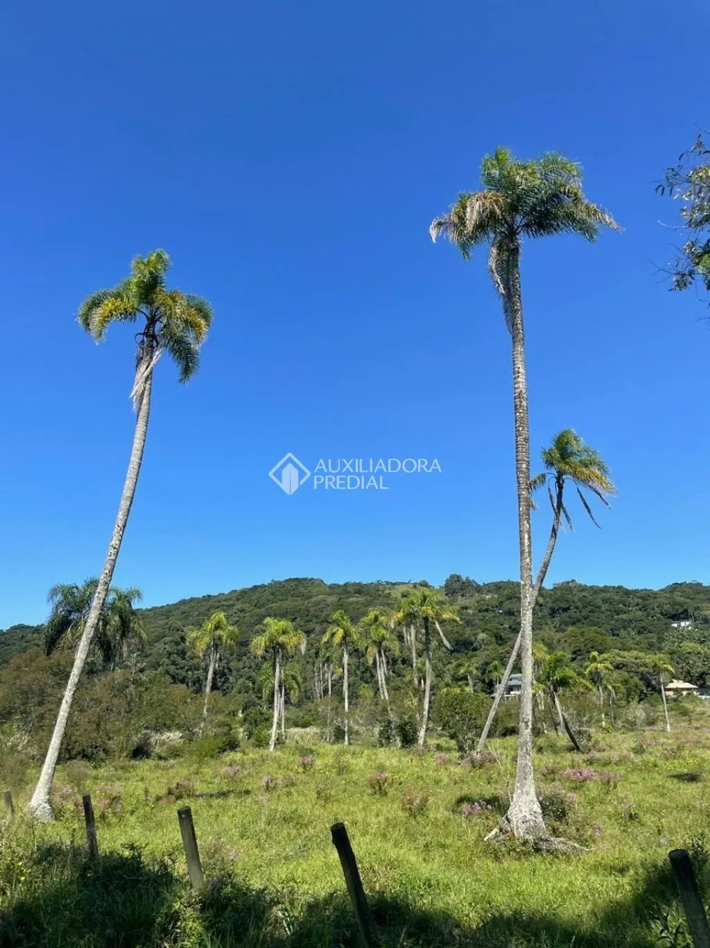 Imóvel — foto 4