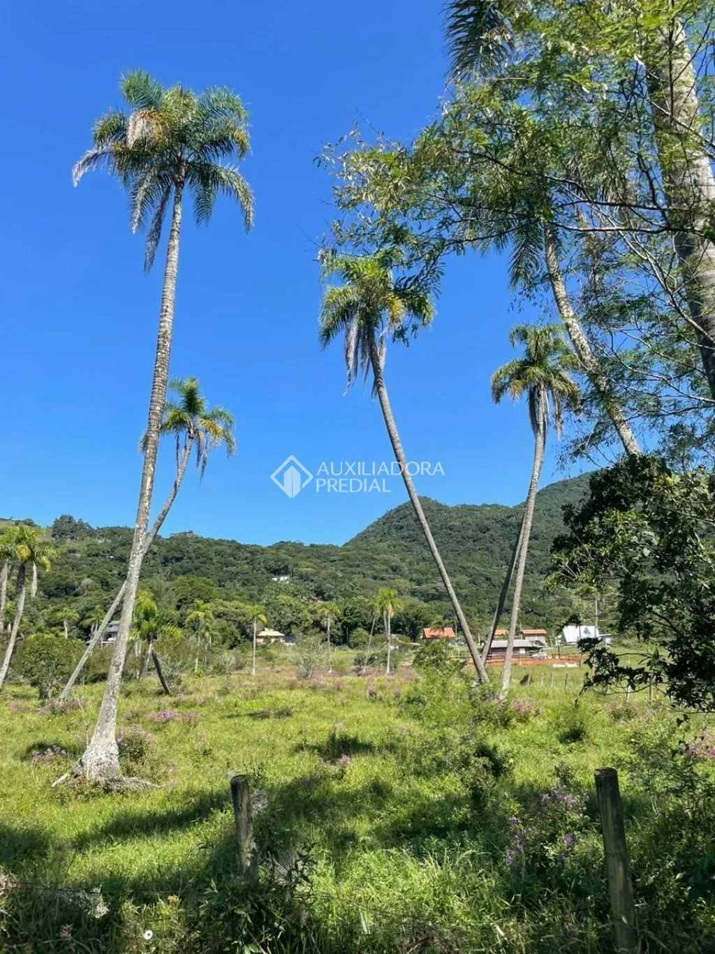 Imóvel — foto 5