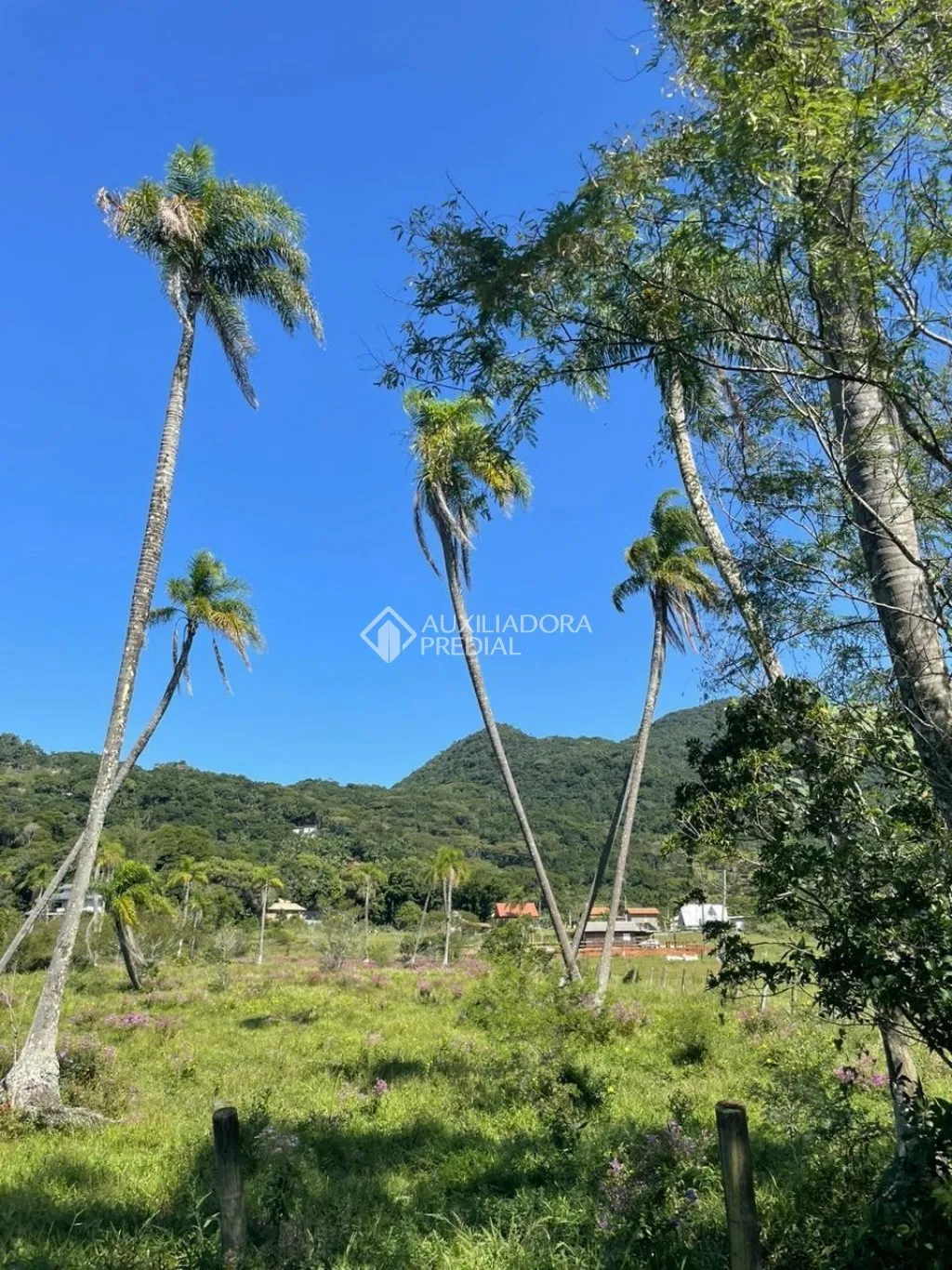 Imóvel — foto 6