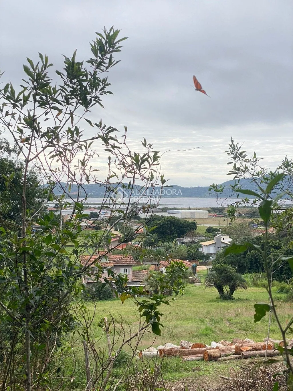 Imóvel - foto 1