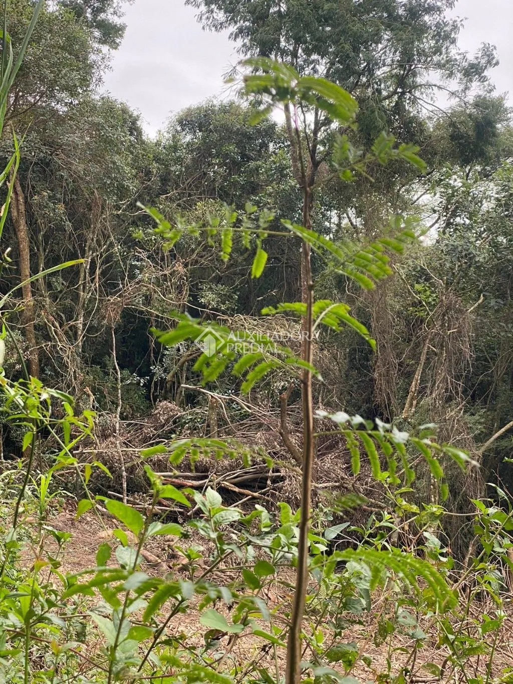 Imóvel — foto 2