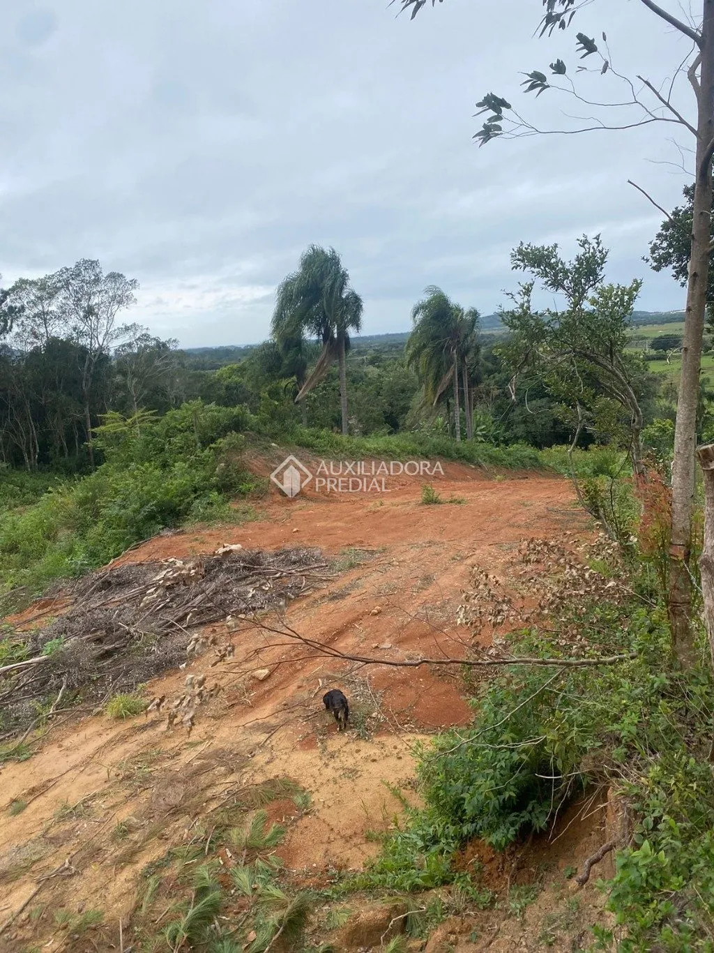 Imóvel — foto 6