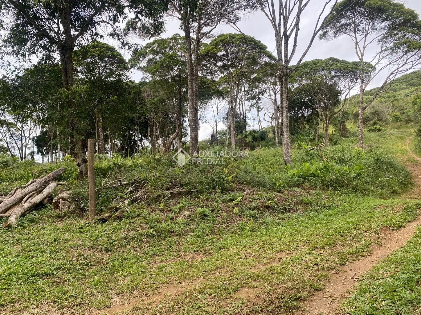 Imóvel — foto 3