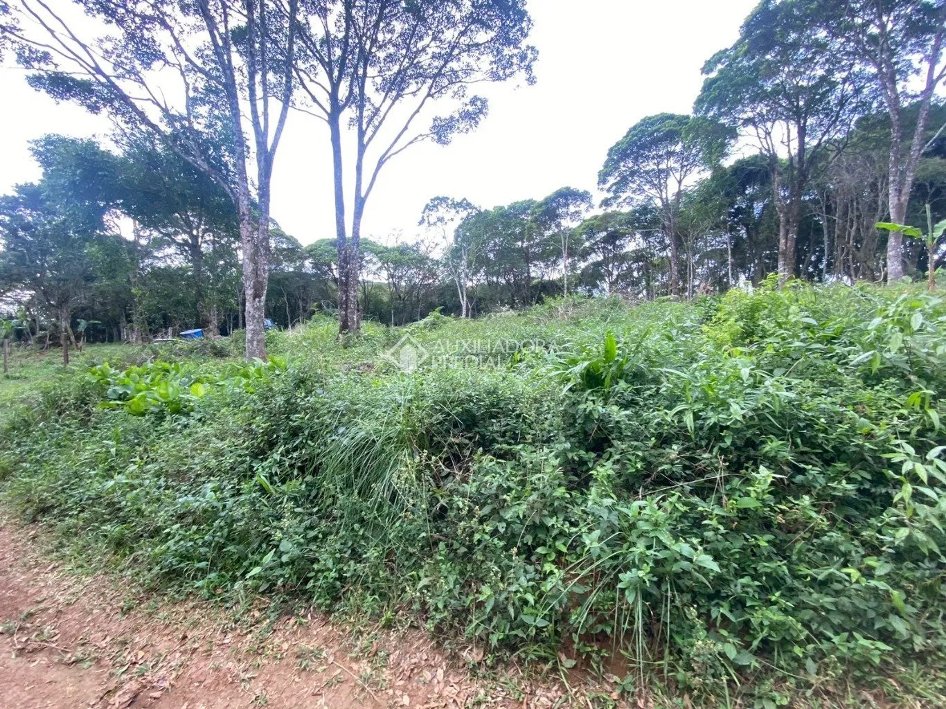 Imóvel — foto 5