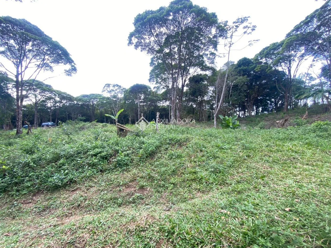 Imóvel — foto 6