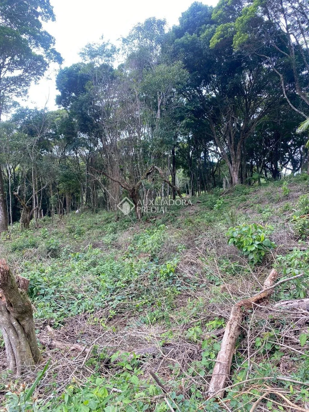 Imóvel — foto 7