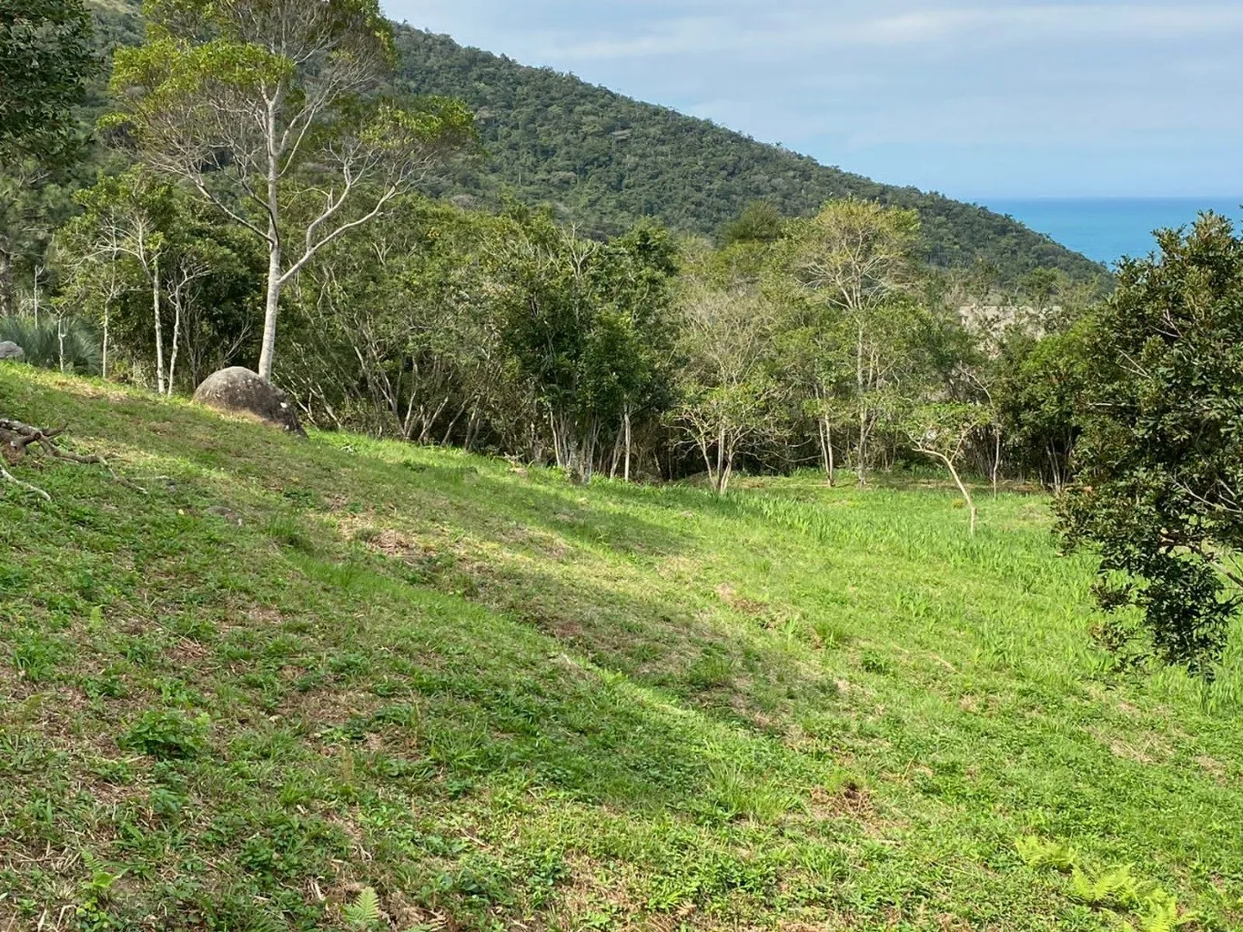 Imóvel — foto 5