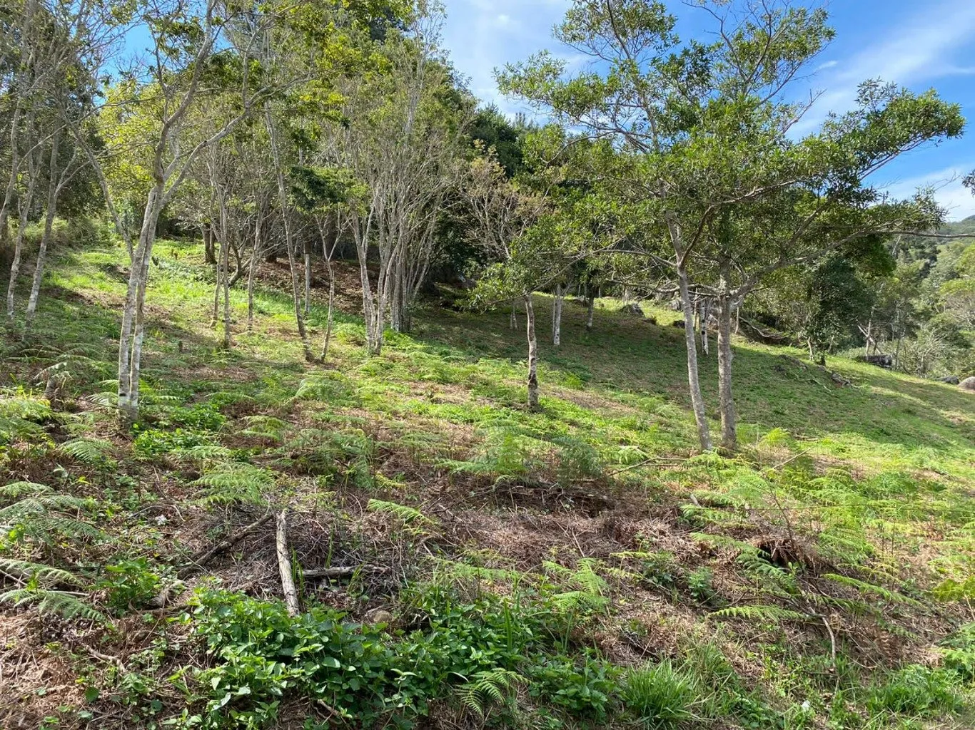 Imóvel — foto 6