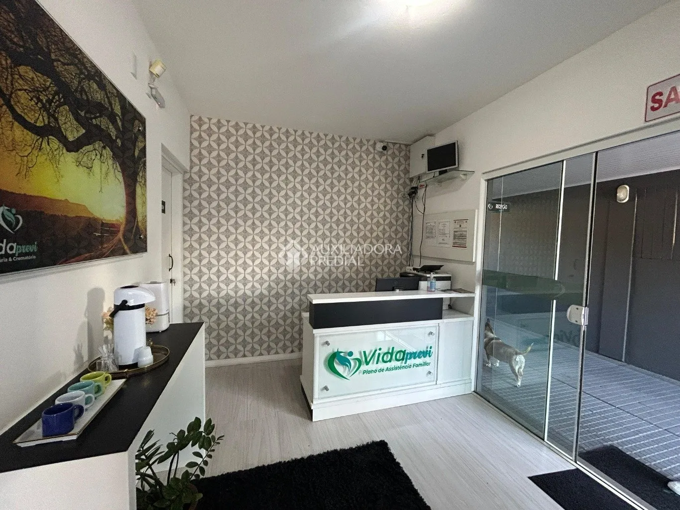 Imóvel — foto 4