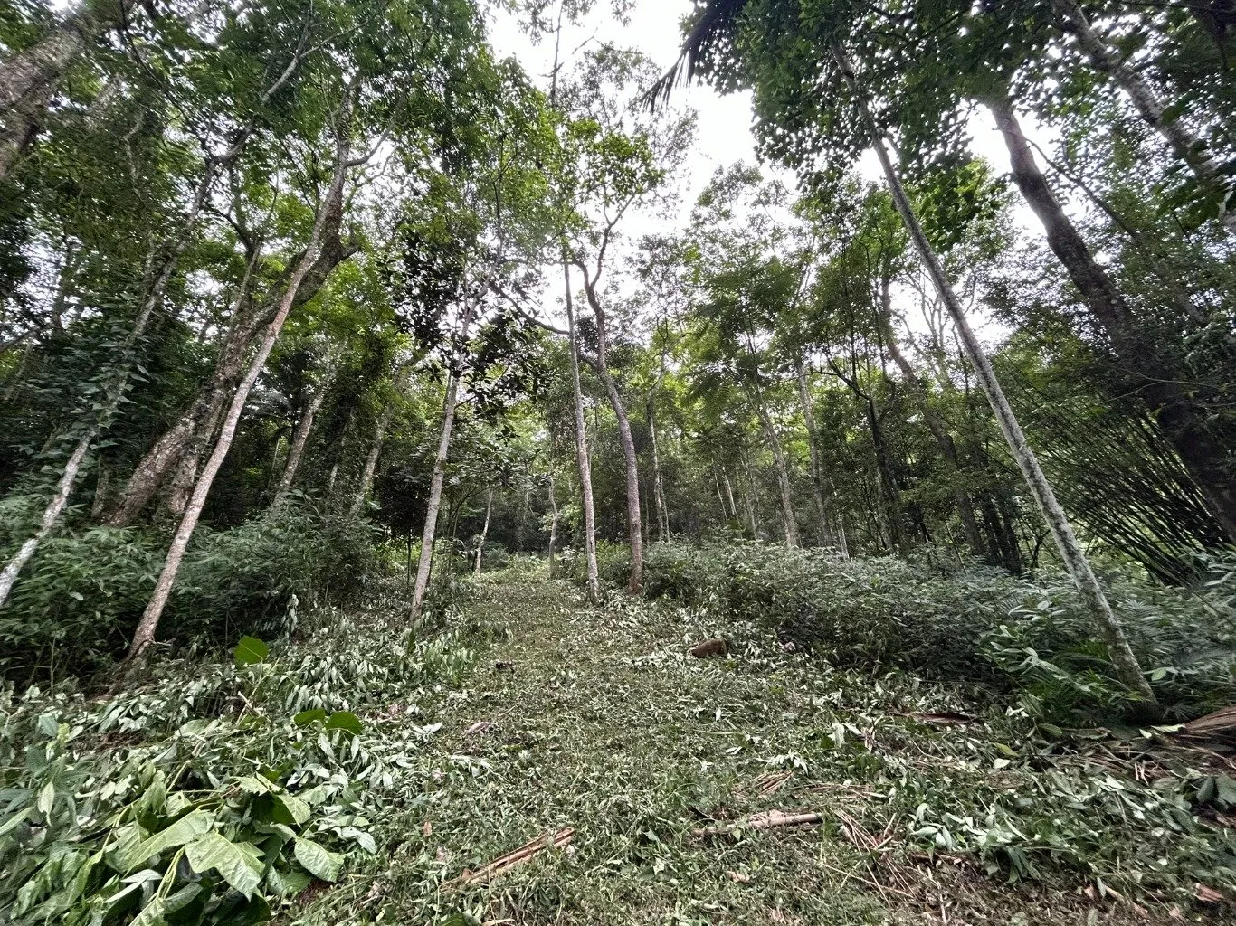 Imóvel - foto 1