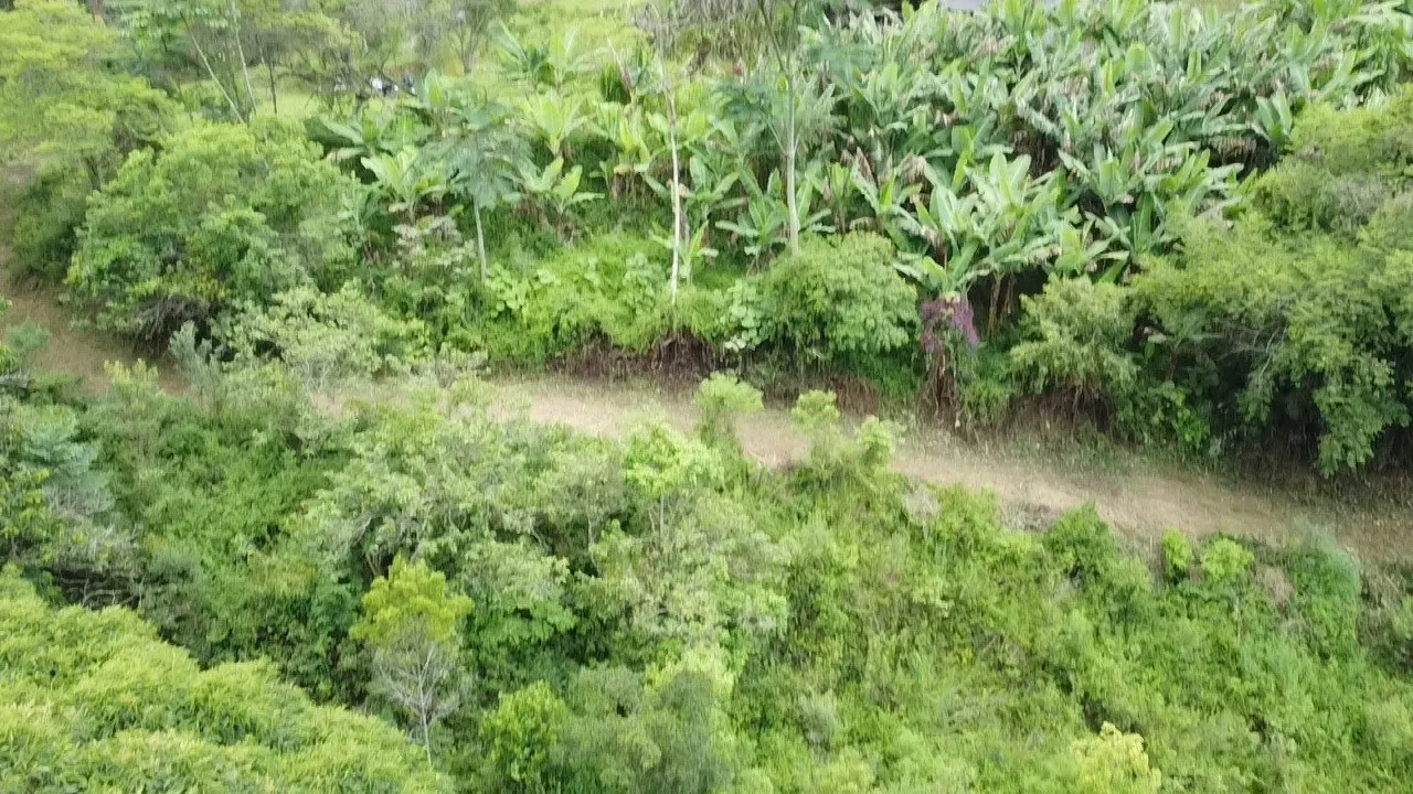 Imóvel — foto 4