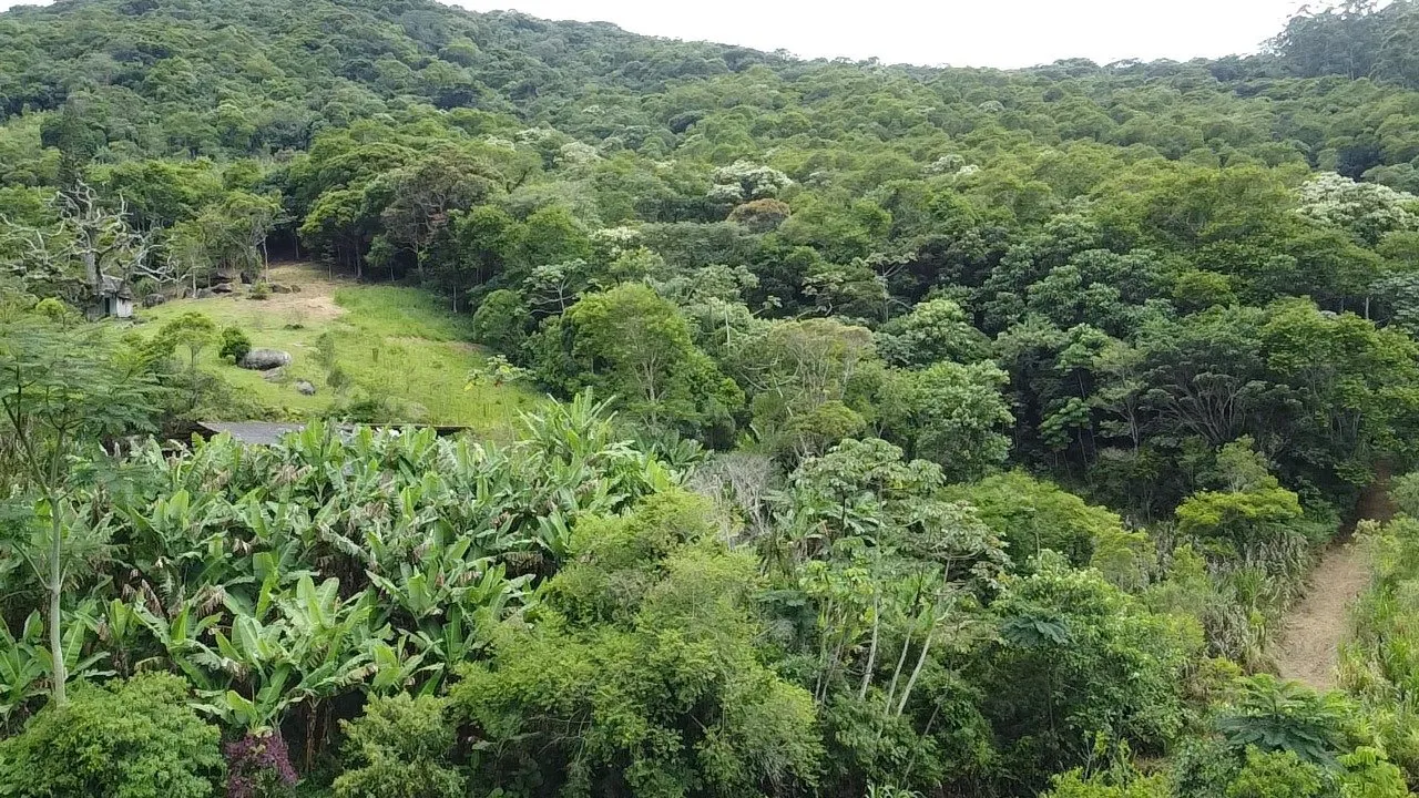 Imóvel — foto 5