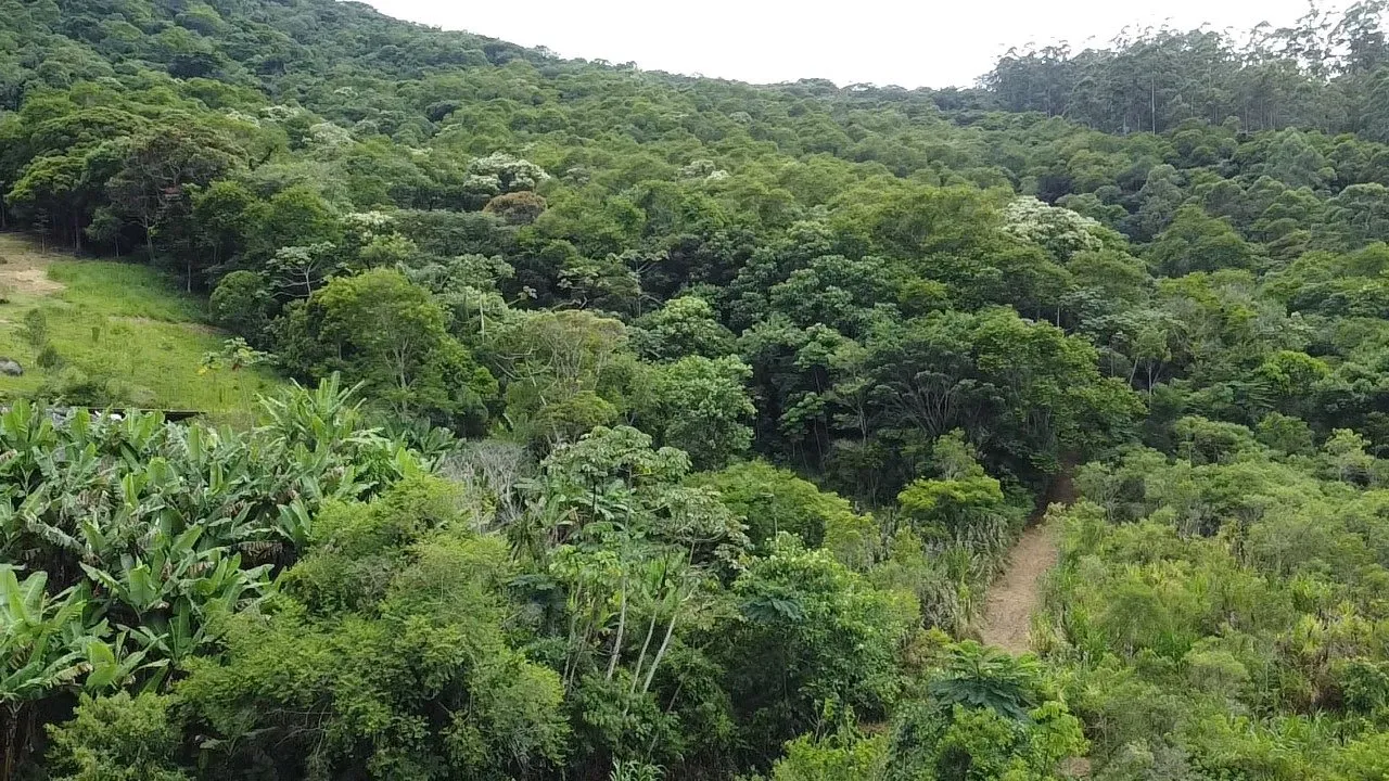 Imóvel — foto 6