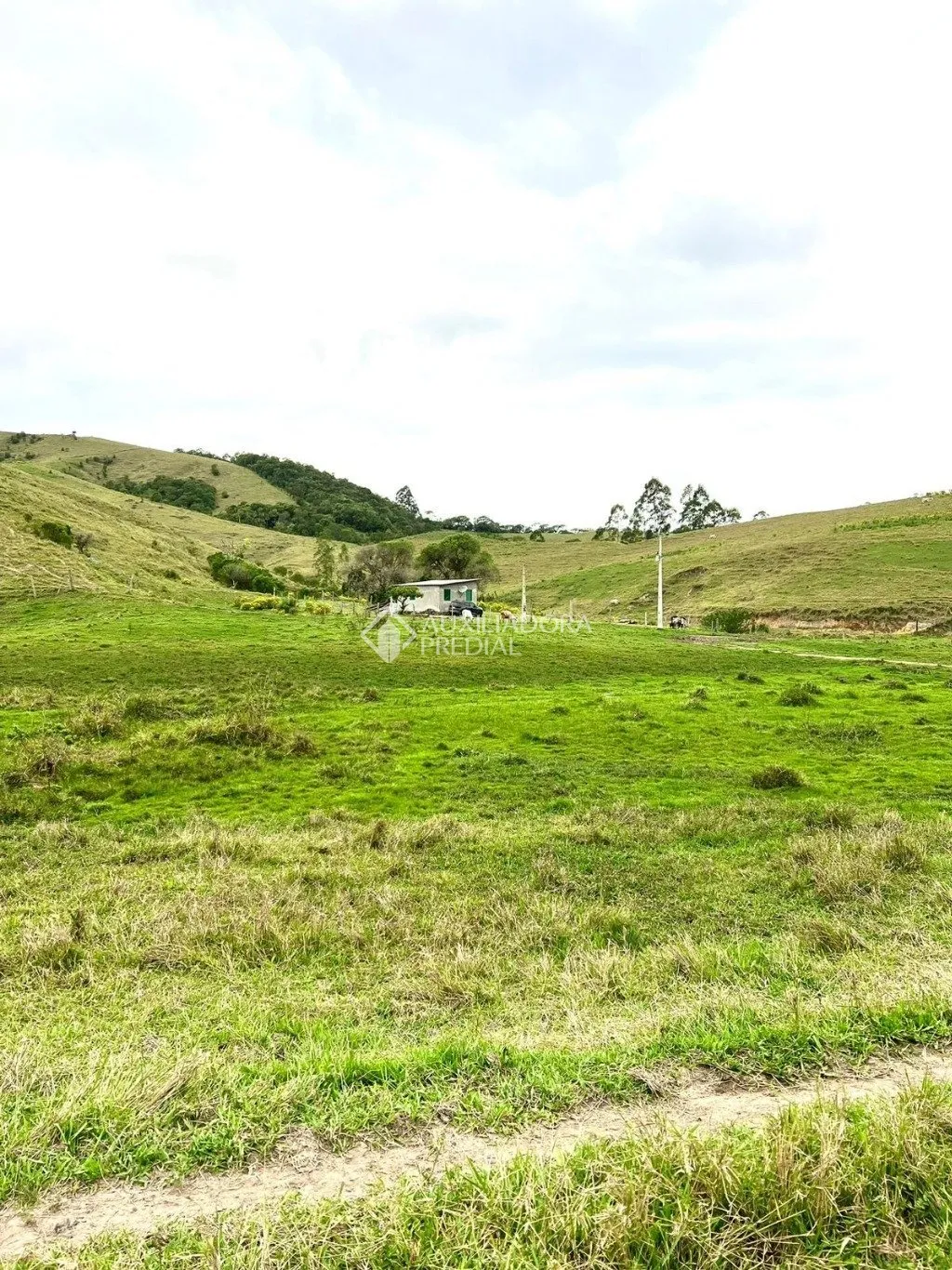 Imóvel - foto 1