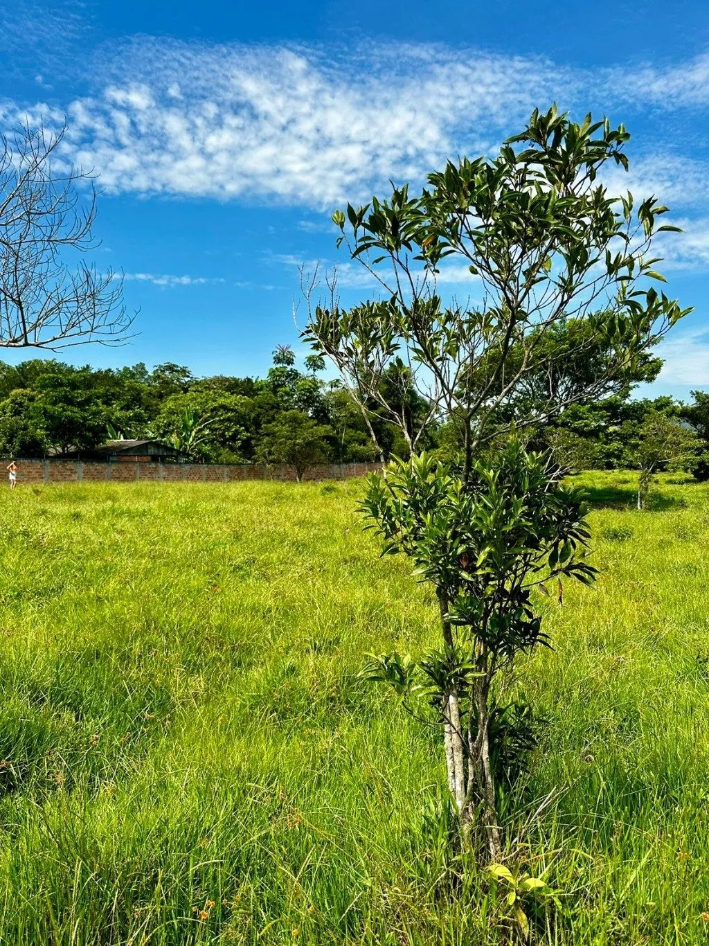 Imóvel — foto 2