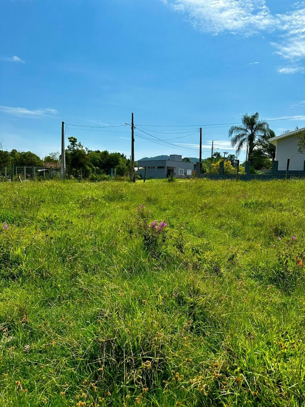 Imóvel — foto 4