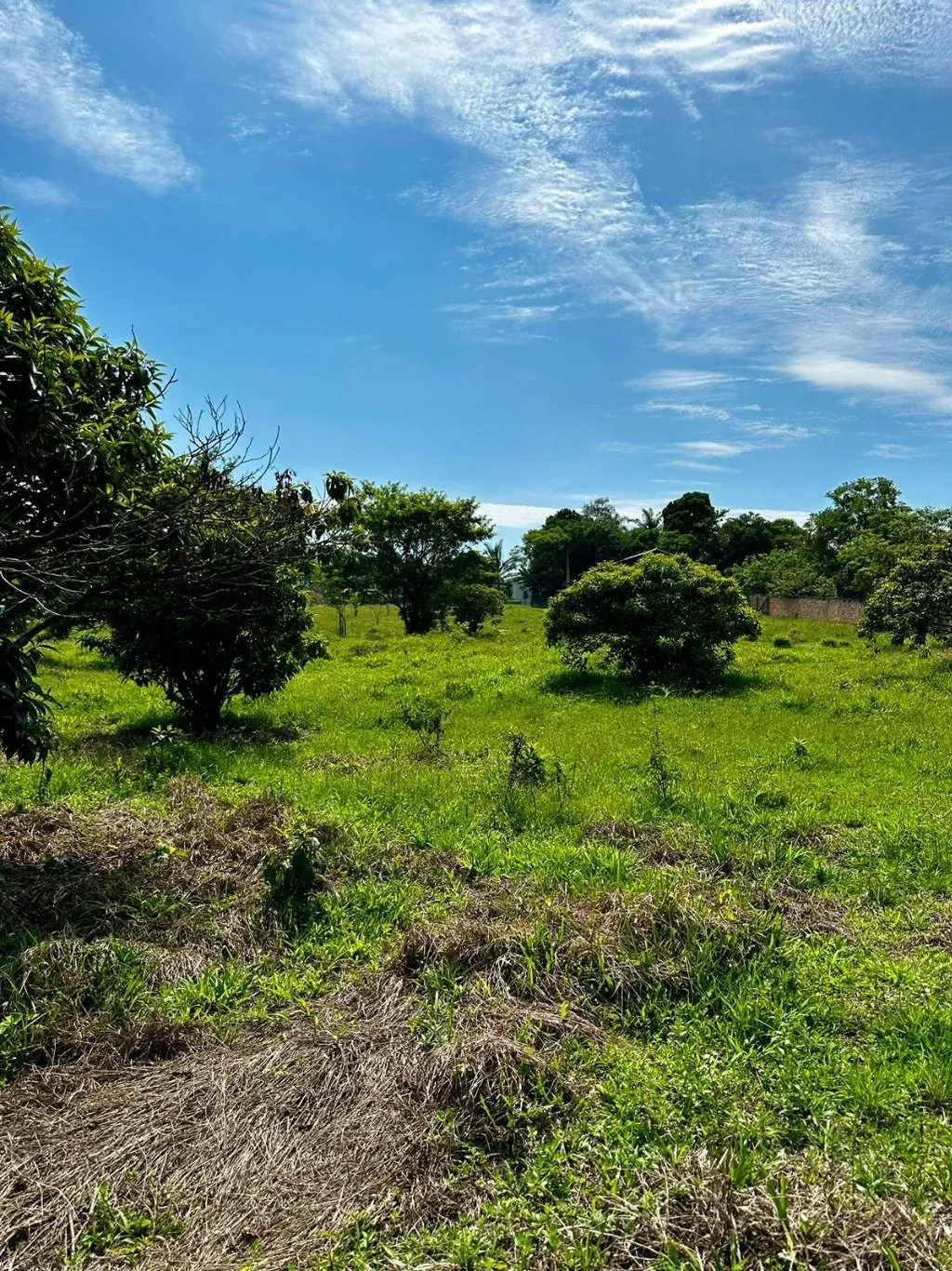 Imóvel — foto 6