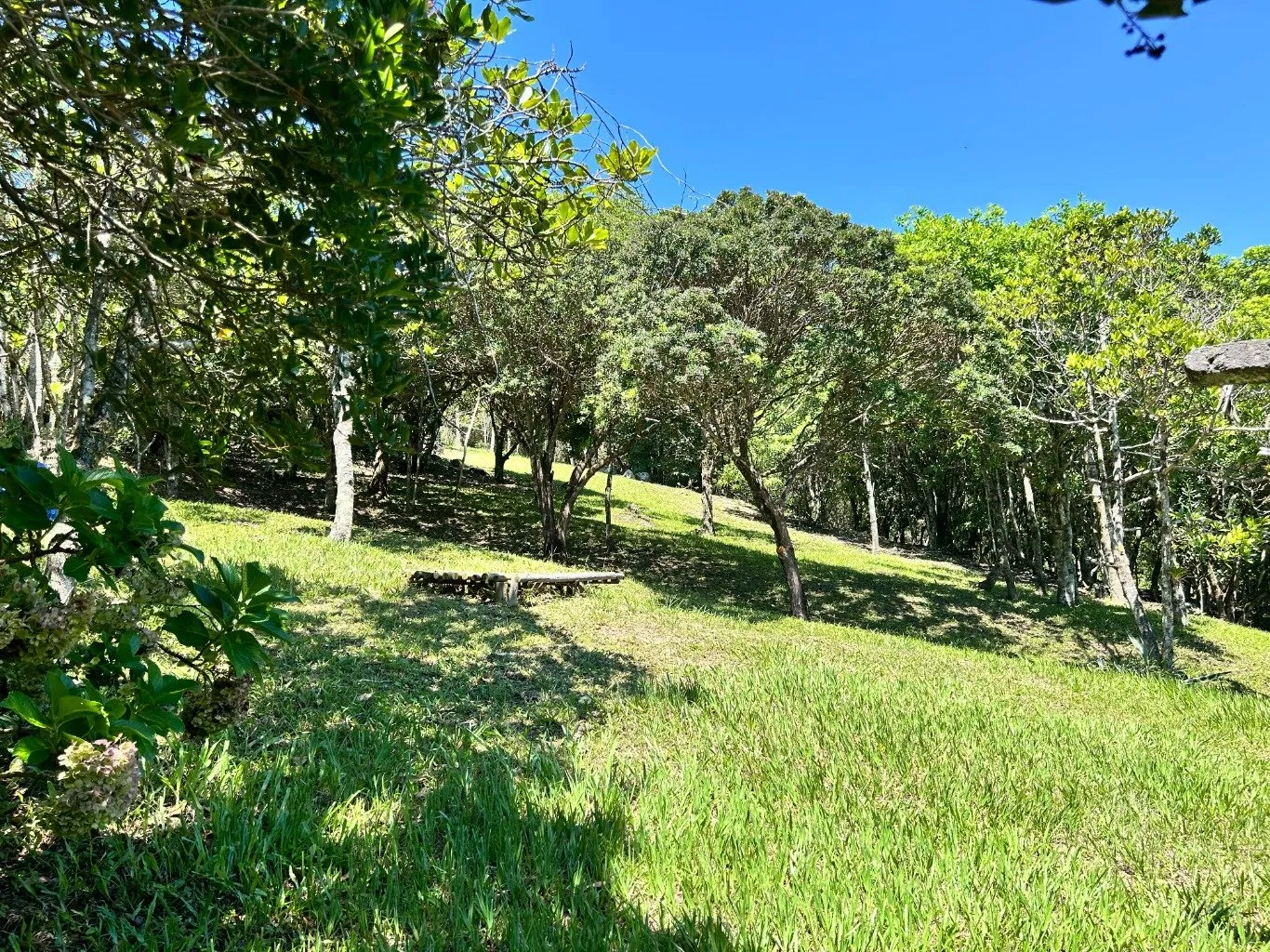 Imóvel — foto 4