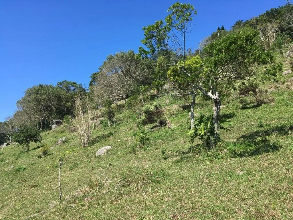 Imóvel — foto 3