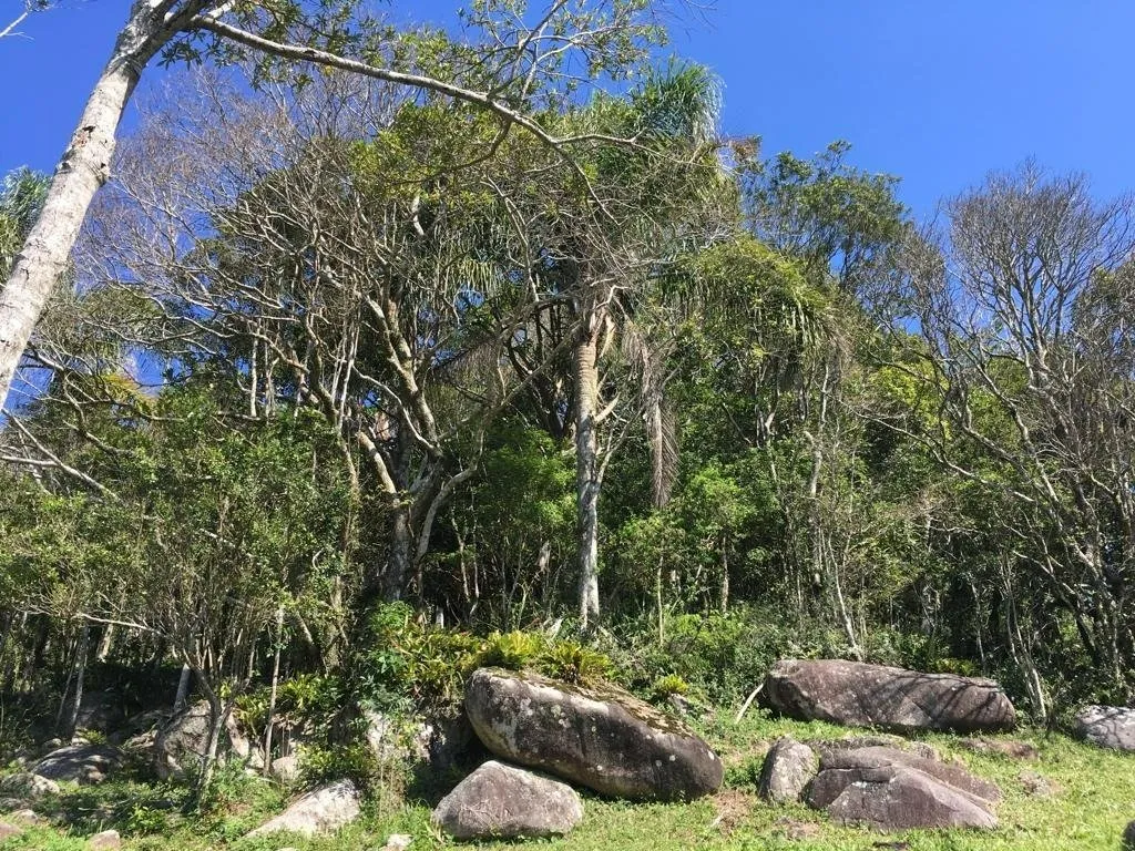 Imóvel — foto 4