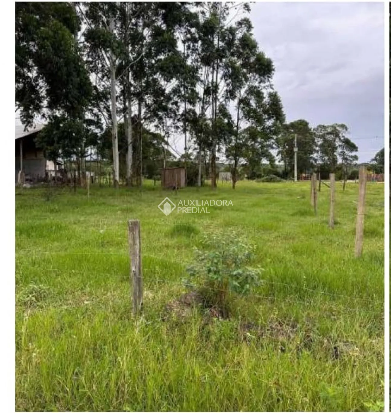 Imóvel - foto 1