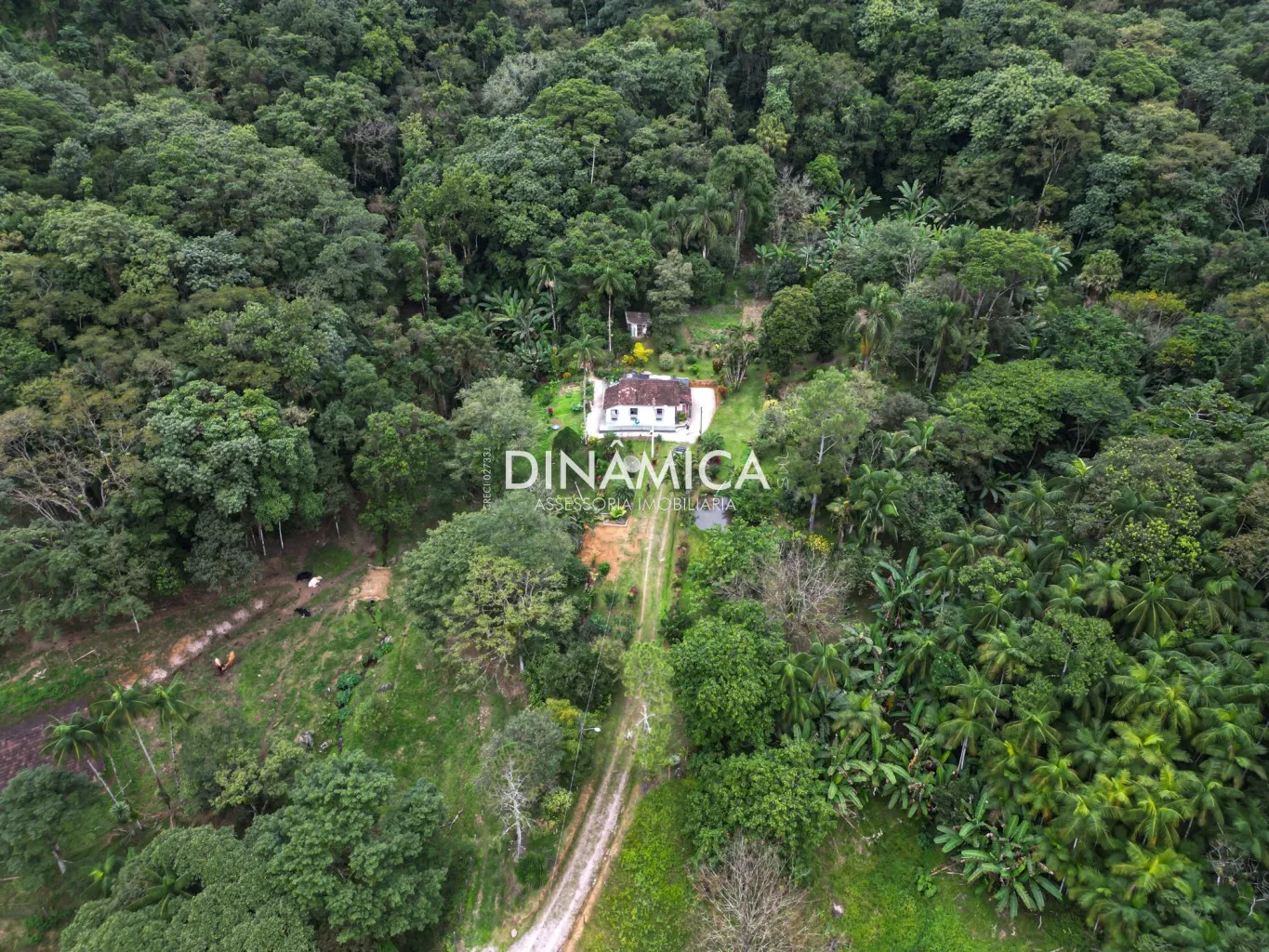 Lindo sítio a venda na Nova Rússia há 20 kms do centro de Blumenau! — foto 2