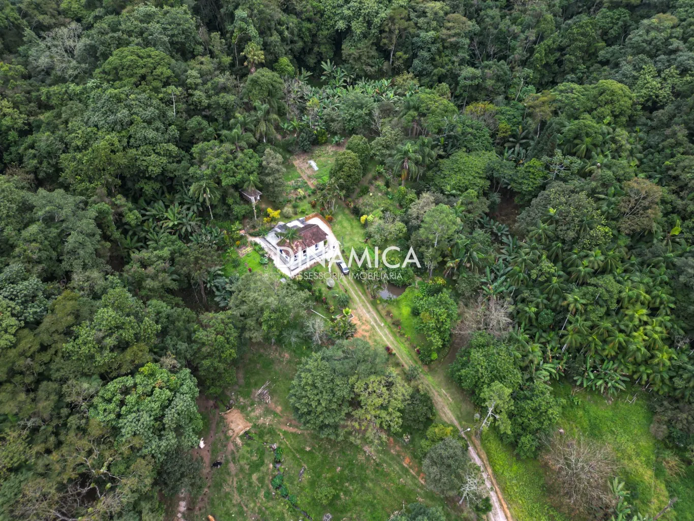 Lindo sítio a venda na Nova Rússia há 20 kms do centro de Blumenau! — foto 3