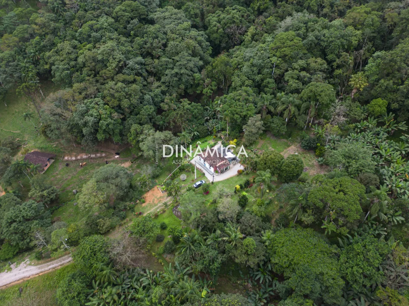 Lindo sítio a venda na Nova Rússia há 20 kms do centro de Blumenau! — foto 5