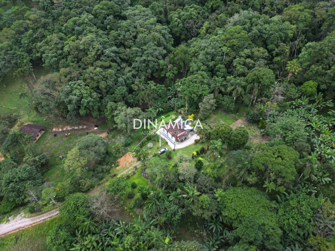 Lindo sítio a venda na Nova Rússia há 20 kms do centro de Blumenau! — foto 6