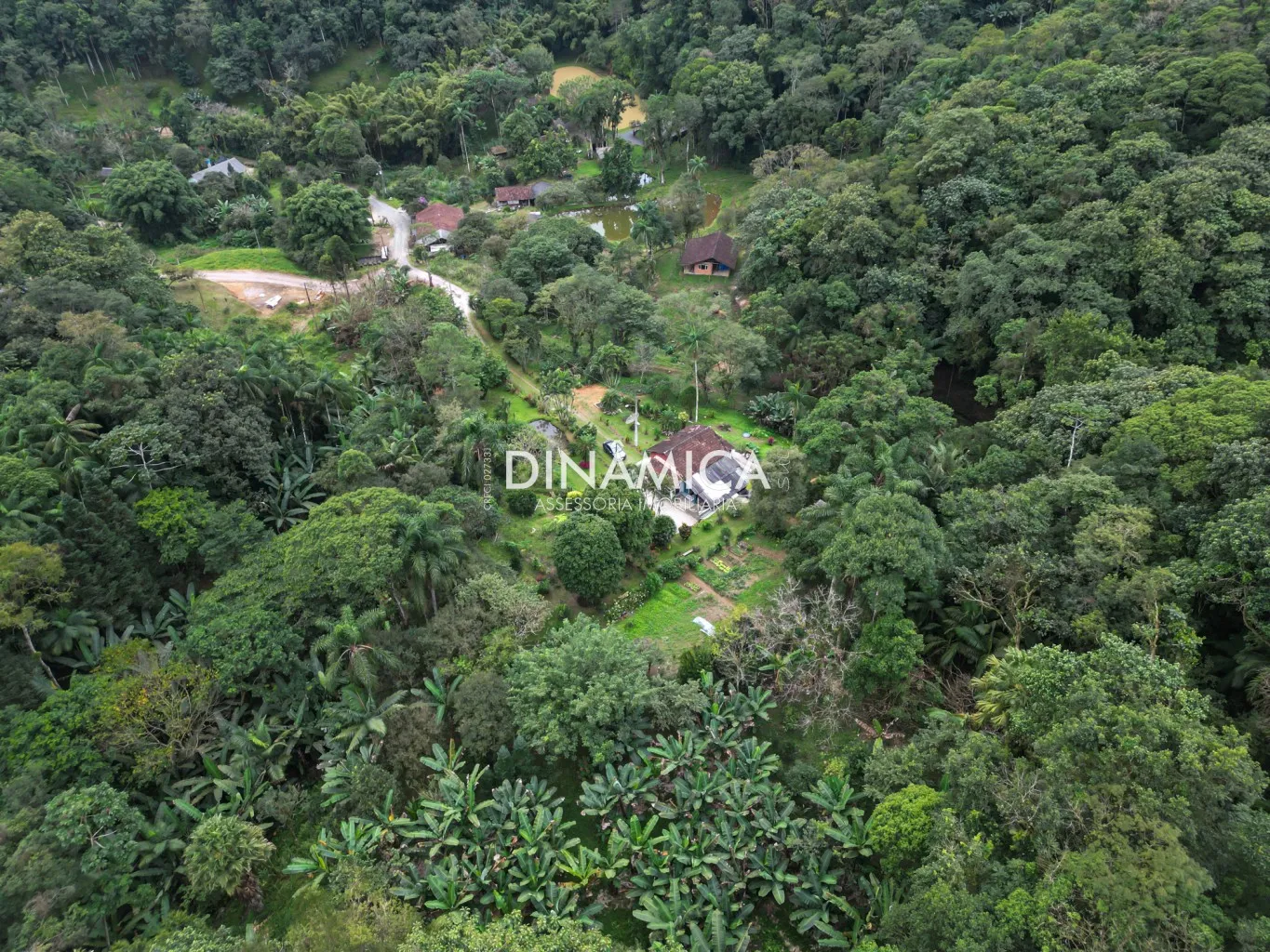 Lindo sítio a venda na Nova Rússia há 20 kms do centro de Blumenau! — foto 7