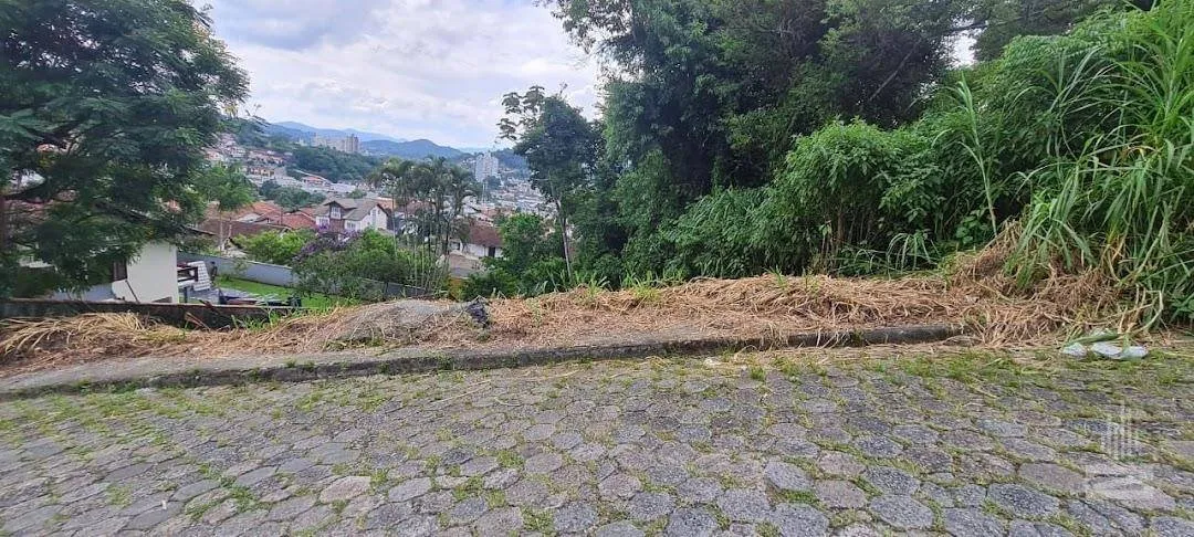 Terreno Residencial à venda, Escola Agrícola, Blumenau - TE0139. - foto 1